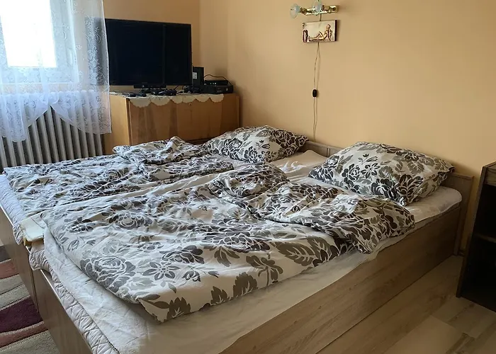 Ferenc Wellnes Apartmán *